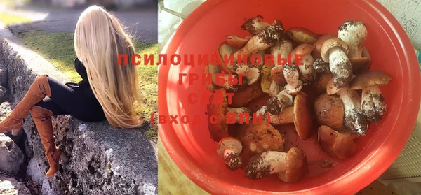 синтетический гашиш Каменск-Шахтинский