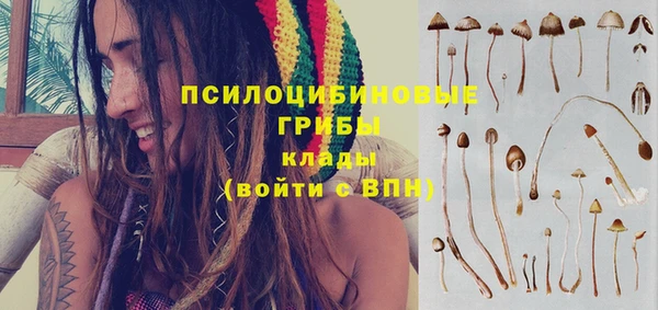 МДМА Каменногорск