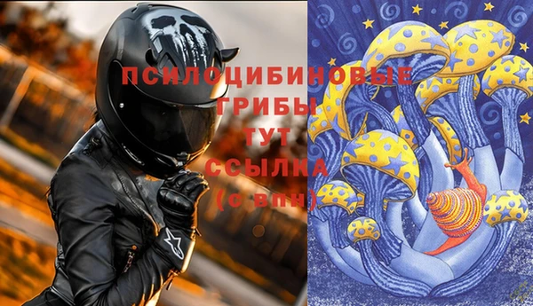 синтетический гашиш Каменск-Шахтинский