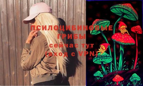 МДМА Каменногорск