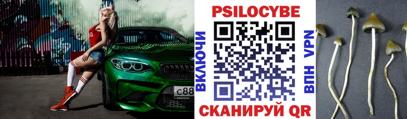 Купить  Томмот  Галлюциногенные грибы прущие грибы 