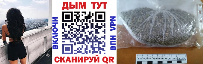 Каннабис план Купить Томмот